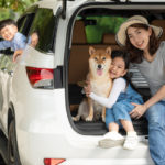 Asian family Mother boy and girl sitting in white car together with Shiba dog for signseeing